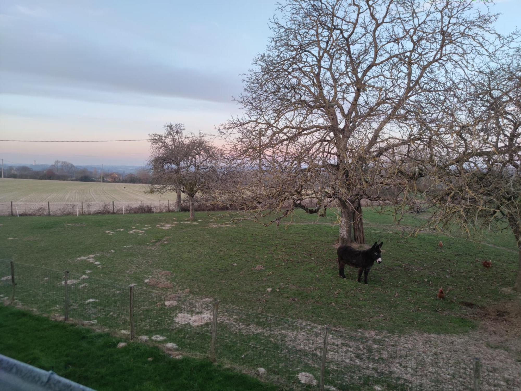 Chambre D Hote Beaumont Pied De Boeuf Buitenkant foto